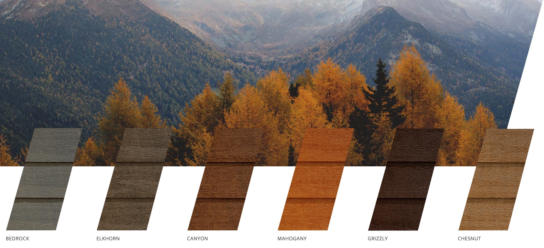 Lasting Color Collections Lasting Color Collections