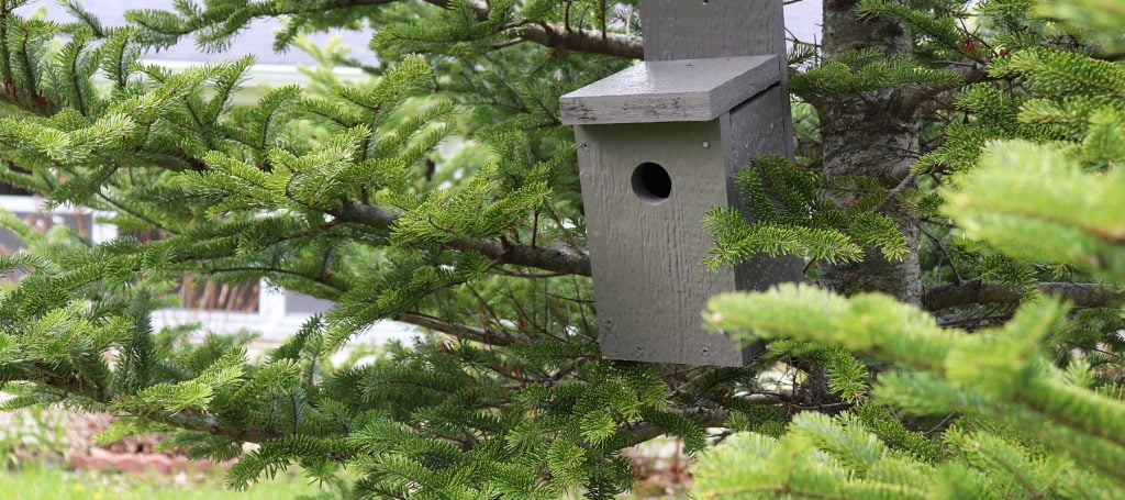DIY Birdhouse with Leftover Siding
